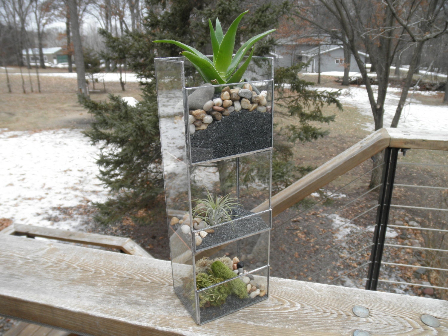 3 Tier Contemporary Glass Terrarium
