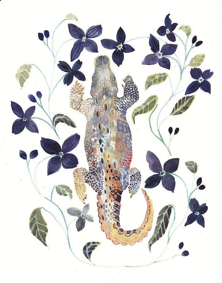 Alligator and Clematis - 11" x 14" Archival Print