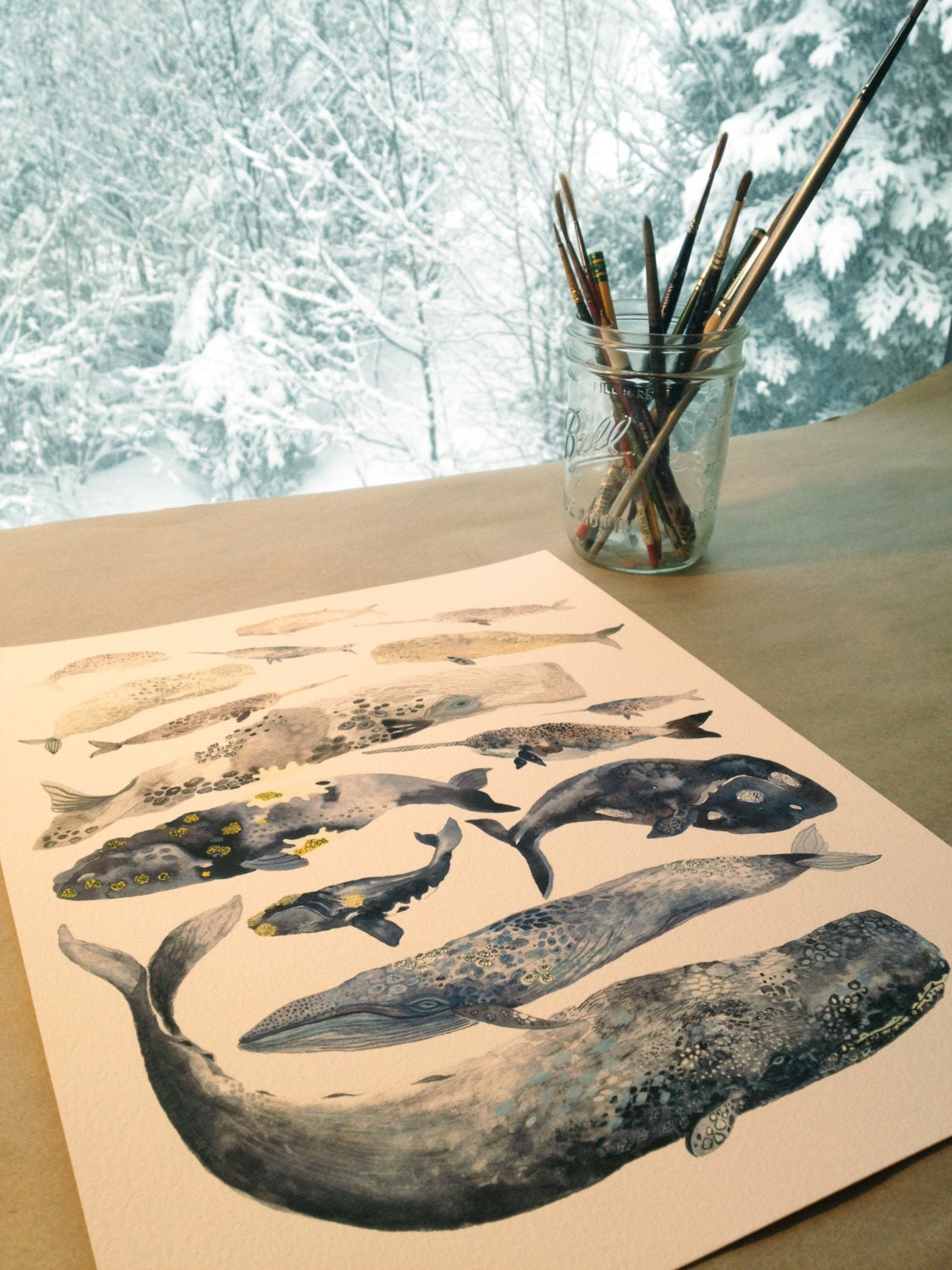 Whale Collection - 11" x 14" Archival Print