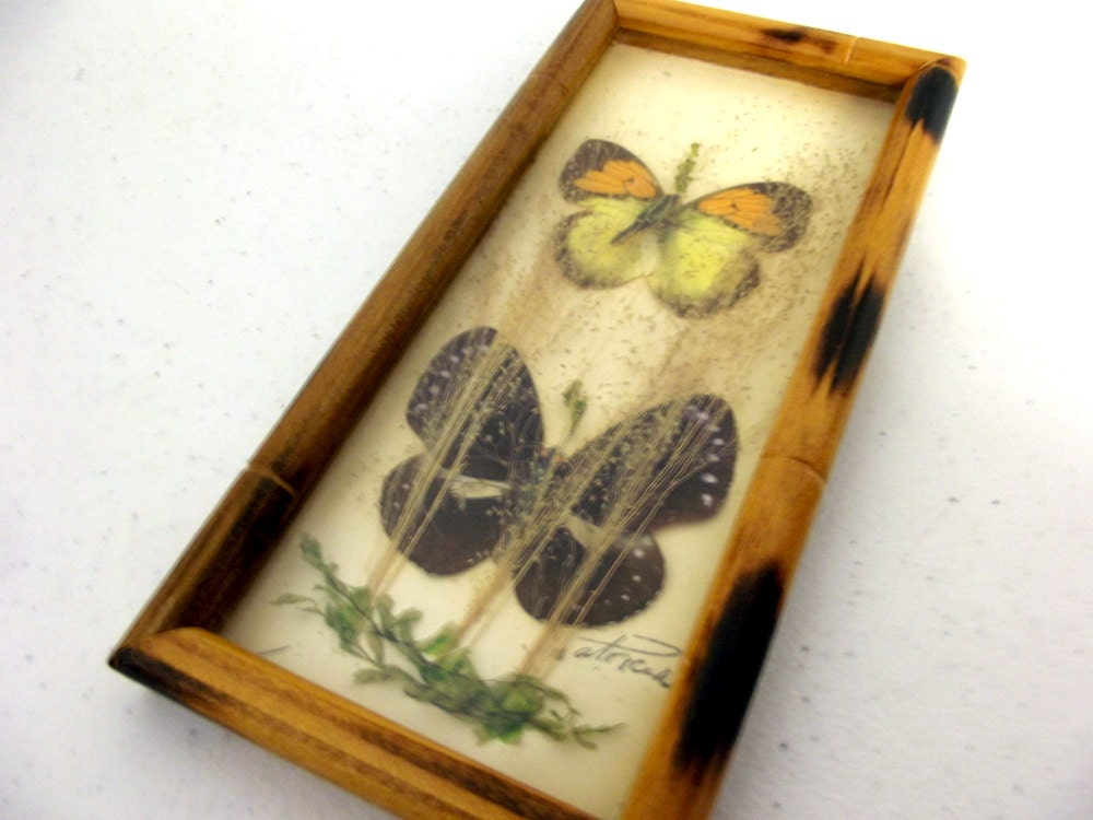 Vintage Framed Real Butterfly collection - taxidermy collection - artist signed