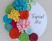 Wool Felt Flowers, Tropical Color Flowers, DIY Flowers - Set of 12 - READY to SHIP