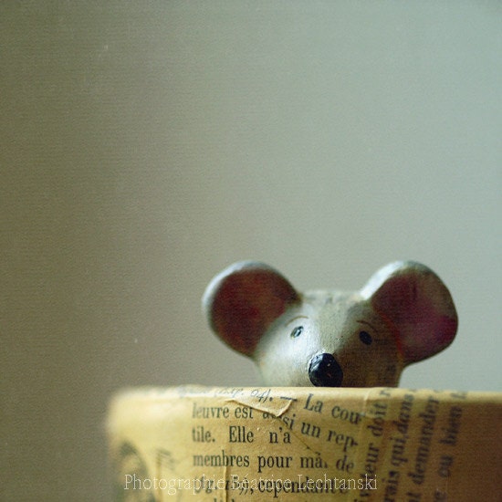 Mouse photography ."A mouse... "Fine art photography print. 8x8 inches (20x20 cm)