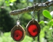 Hawaiian Style Norfolk Island Pine Wood Earrings