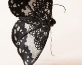 Soft Sculpture  Moth Brooch  Fabric Lepidoptera