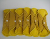 Gold Cloth Pad and Pantyliner Overnight Starter Pack - Extra Long