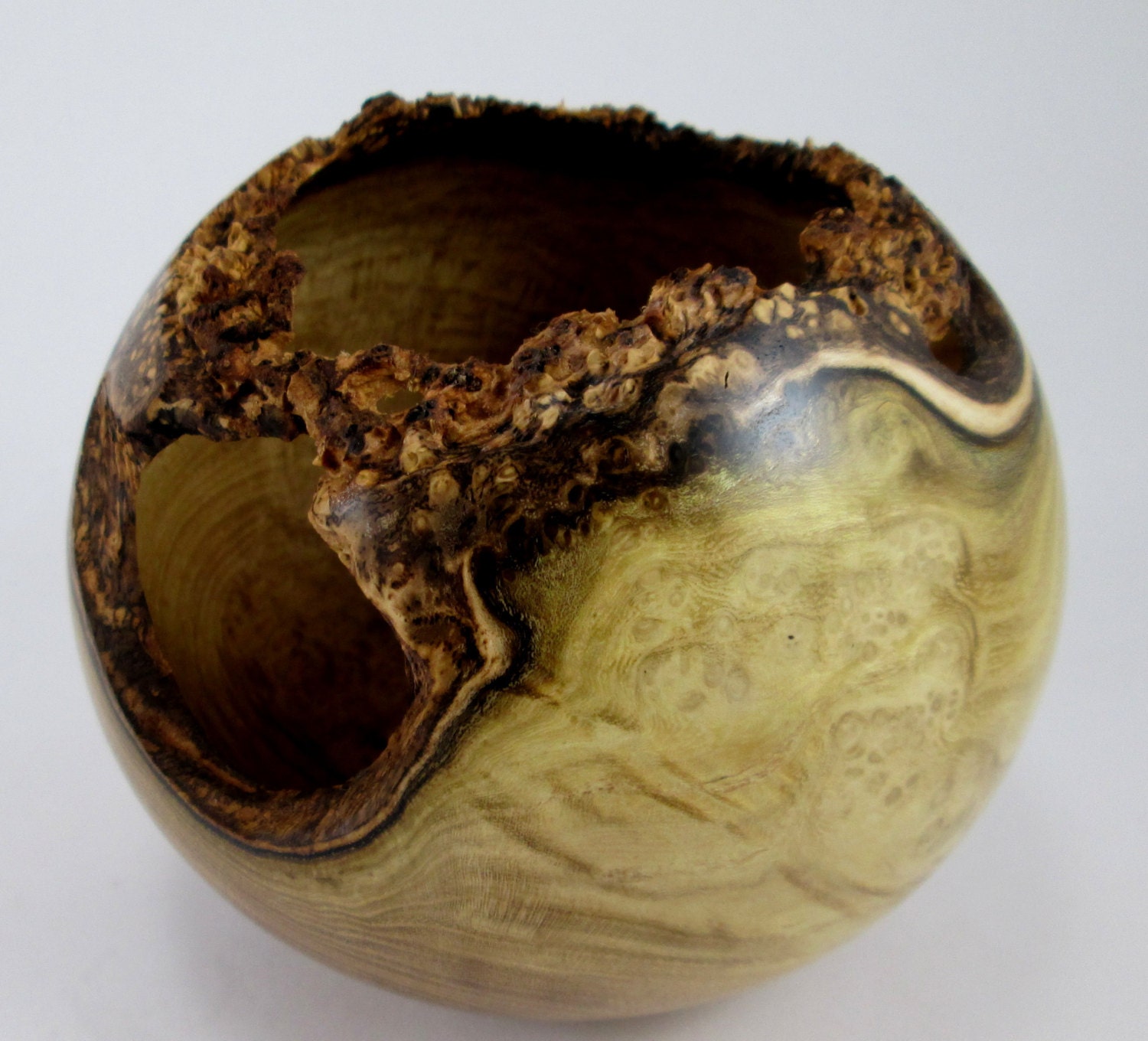 Crunch - Black Locust Burl Vessel