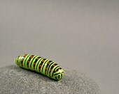 Little Caterpillar - Hand Sculpted Miniature Polymer Clay Insect