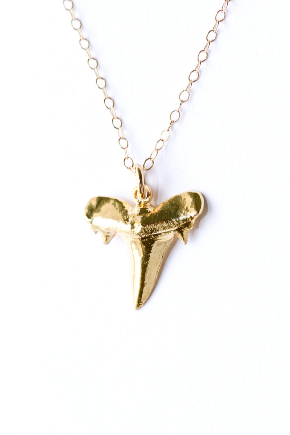 24k gold shark tooth necklace - gold necklace - nautical jewelry - real shark tooth jewelry - gold jewelry - Sea and Cake jewelryklace