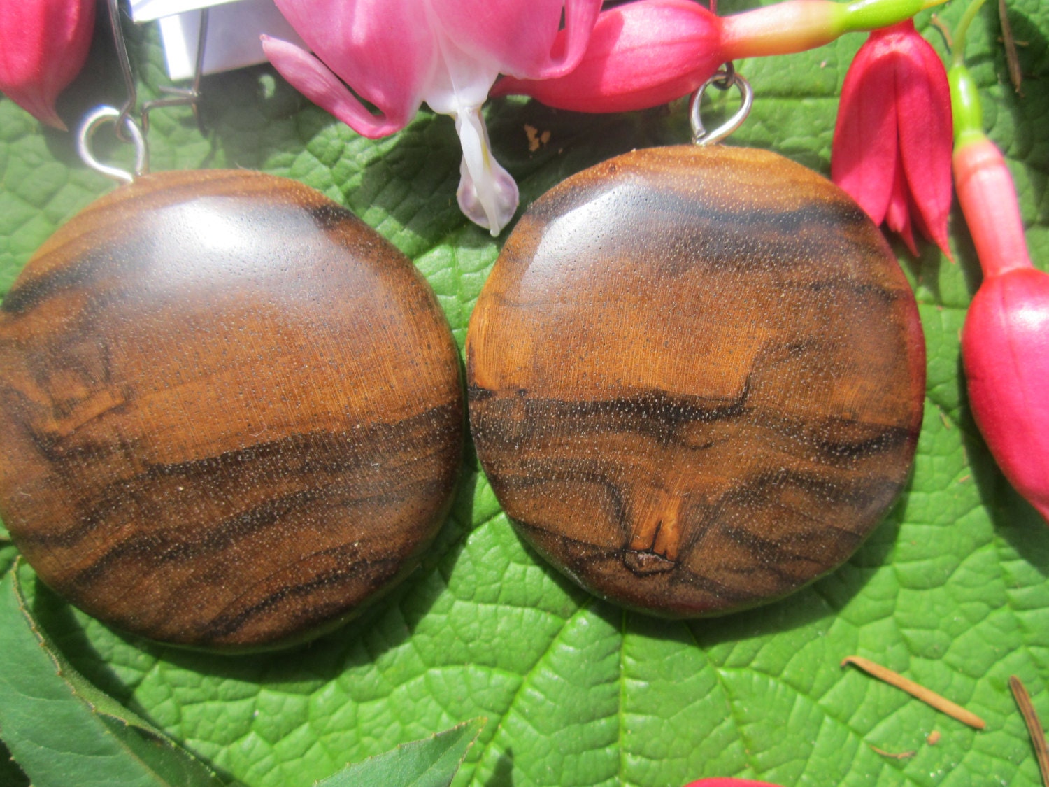 Beautiful  1 1/2  in  Round Black Walnut  Wooden  Earrings- large   ... 68