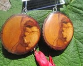 Beautiful Incredible  Flowering Plum  Picture Wood Wooden  Earrings-....148