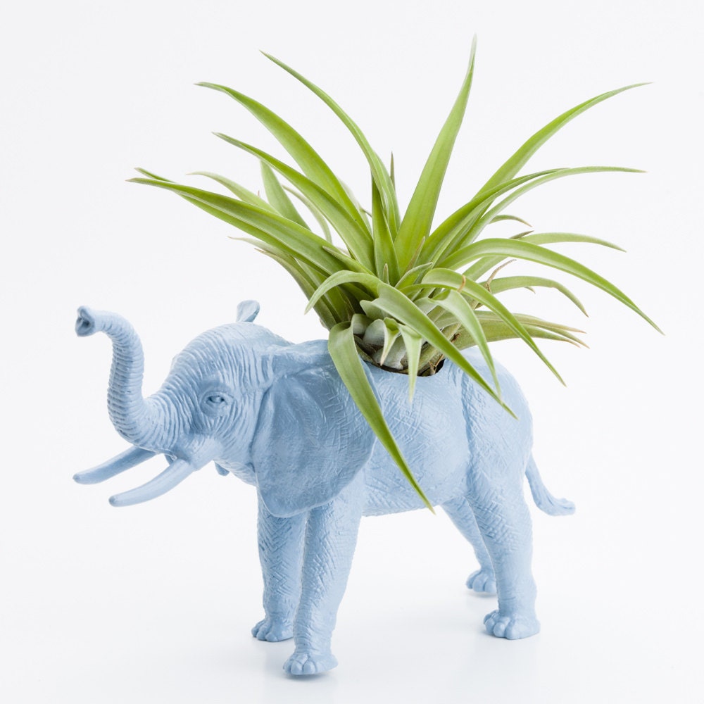 Elephant Planter with Air Plant Room Decor, College Dorm Ornament, Plants and Edibles, Red, Blue