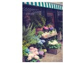 Fine Art Boston Photography. Beacon Hill Flower Shop. Boston. Spring. Colorful. Home Decor.