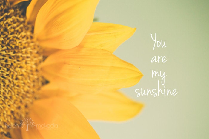 Fine Art Photography and Typography. You are my Sunshine. Sunflower. Text. Colorful. Home and Nursery Decor.
