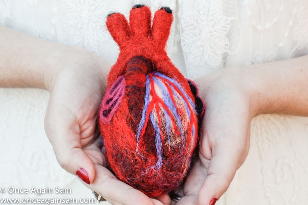 HeartFelt (Anatomical Heart - Human Scale)