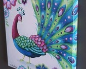 Peacock 2 Gallery Wrapped Canvas Print 14 X 14