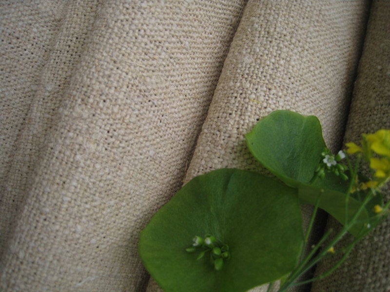 antique upholstering fabric PALE CREAMY runner cushion 10.27y handloomed biological fabric