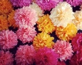 Choose Your Colors // 10 DIY mini poms // napkin holders // wedding decorations // centerpiece // garland // party decorations