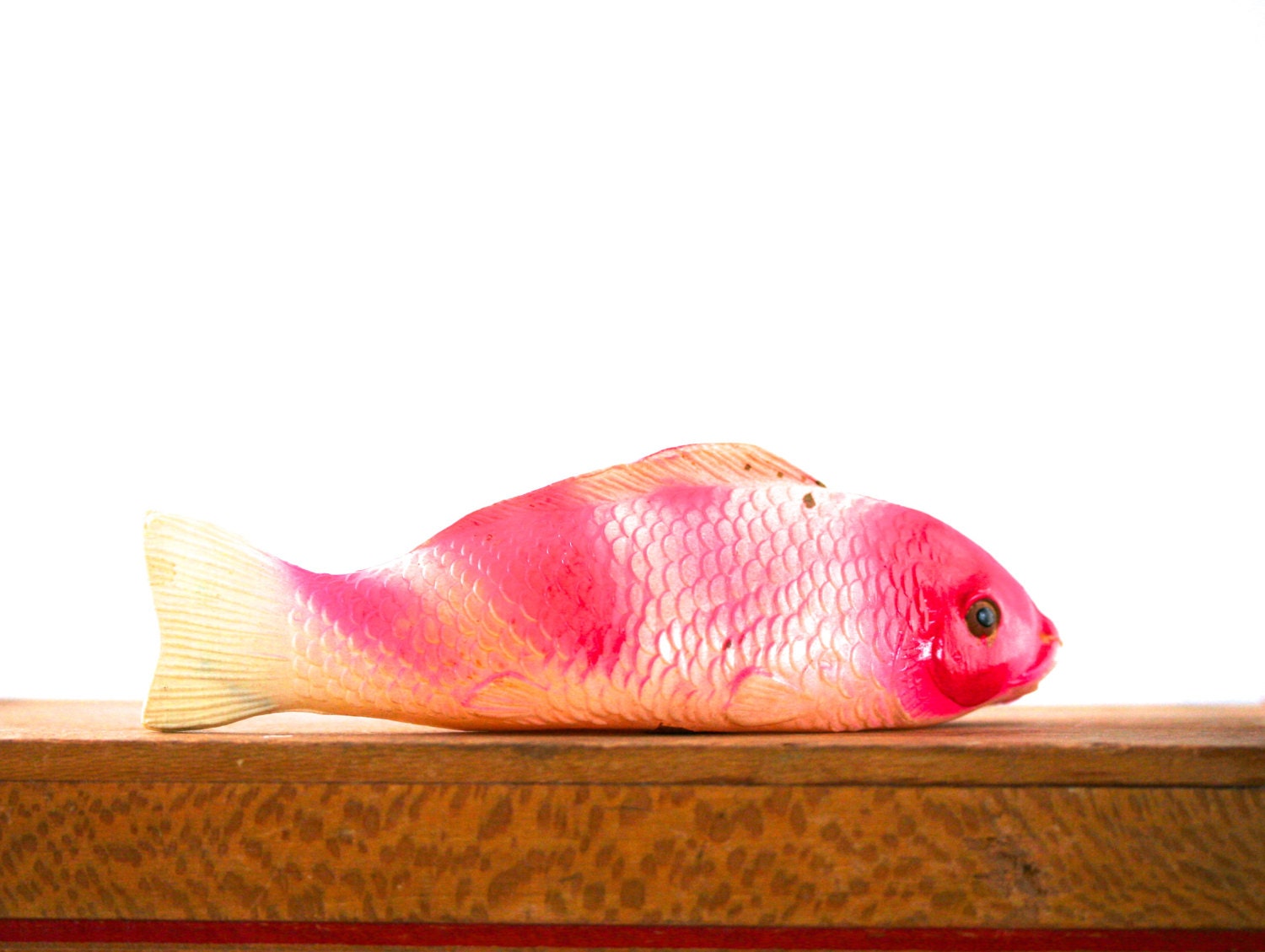 A Fish Out Of Water - Vintage Celluloid Koi, Japanese Koi, Toy,  Pink, Summer, Carp
