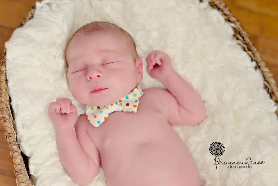 Brock Polka Dot Bow Tie Newborn Baby Photography Prop - Baby Boy Props, Colorful Polka Dots, Props for Babies, Infant Portraits