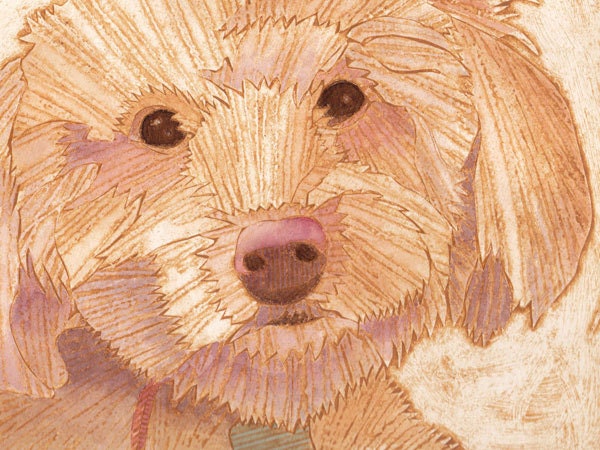 Poodle Mix Bichon Mix Dog Art Collograph - Mortimer 2