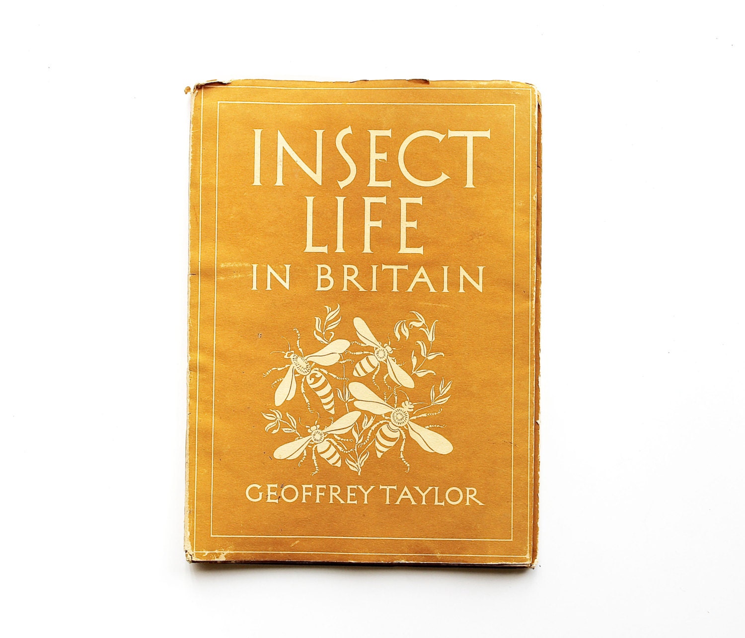 Insect Life in Britain - Vintage 1946 Book - Mustard - Garden - Golden - Bugs - Science - Nature