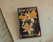 Daffodils Vintage Flower Catalog Pin Brooch Glitter Jewelry