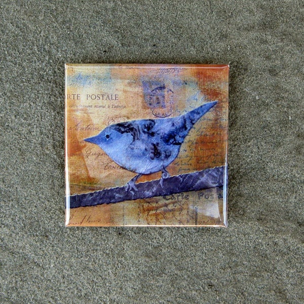 Cerulean Blue Warbler Bird Magnet of Bird Collage