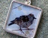 Bird Necklace Pendant Sterling Silver Finish Starling
