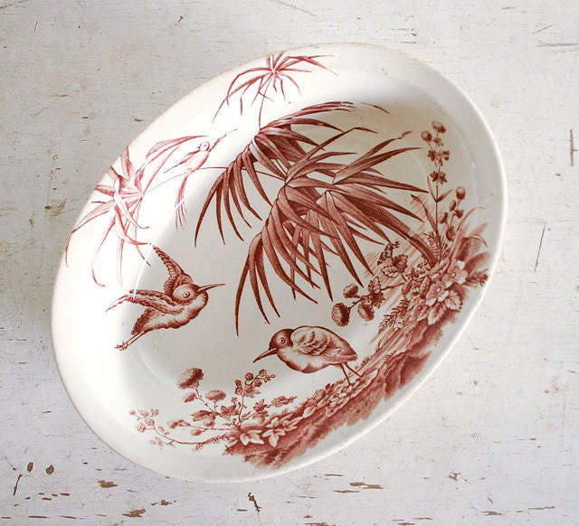 Antique Brown Transferware / Aesthetic Movement / English / Exotic Birds