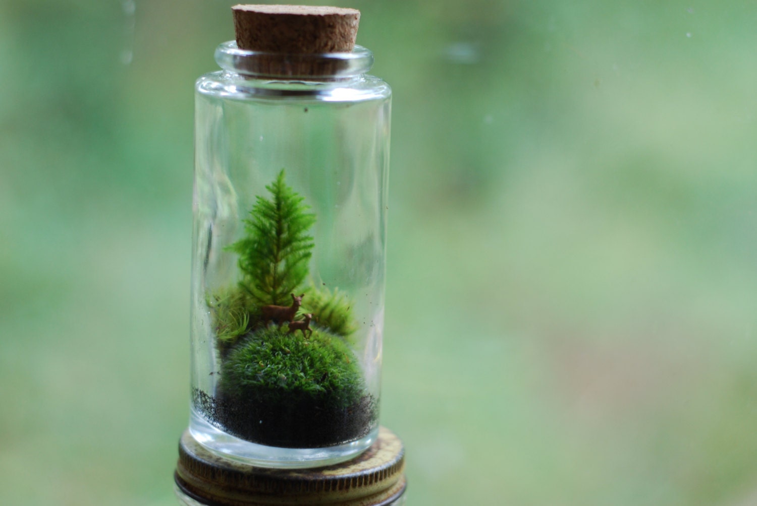 moss terrarium tiny mommy and baby deer