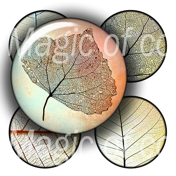 Skeleton Leaf   - 63  1 Inch Circle JPG images - Digital  Collage Sheet