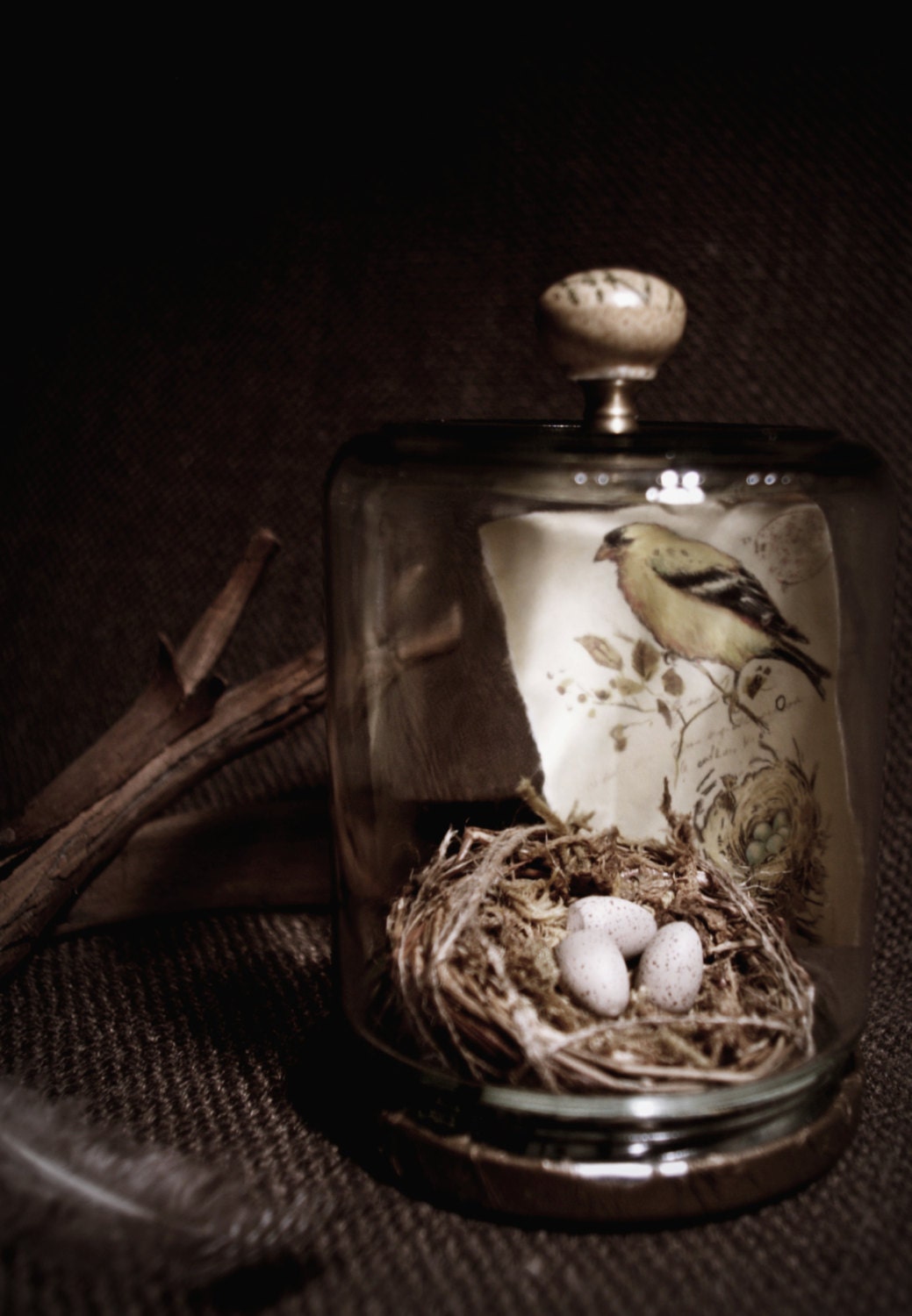 Birdnest Cloche - Glass Jar Assemblage