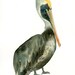 BROWN PELICAN Original watercolor painting 8x10inch (Vertical orientation)
