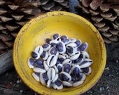 Rita's 5 Violet Flame Cowrie Shells - Heal Karmic Debt - Hoodoo, Pagan, Witchcraft