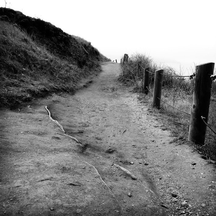Fence and a Trail 8 X 8 fine art photography print in black and white