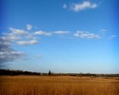 Bright Blue Sky Golden Grass 8 X 10 fine art photography print