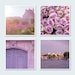 Paris Photography Set - Roses, The Louvre, The Seine, Four 5 x 5 Fine Art Photographs, Lavender Morning, Wall Decor