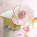 Flower Still Life Photography - Rosebud, Roses, Floral Still Life Photo, Romantic Pink Wall Decor