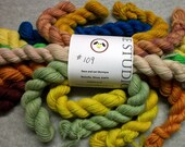 Sock Yarn Mini Skeins - (109)