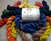 Sock Yarn Mini Skeins - (111)
