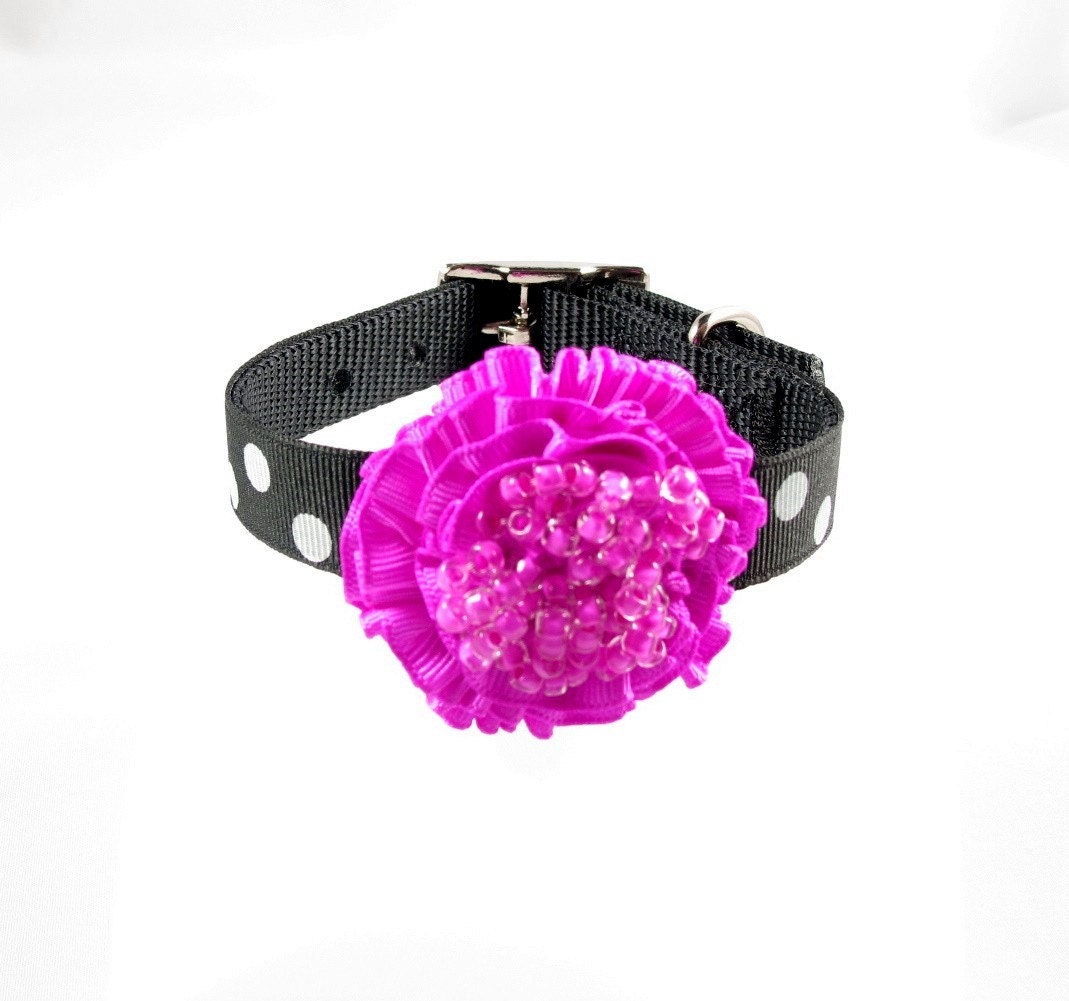 Black & White Polka Dot Collection Dog Collar (Fuchsia) Pet Collar