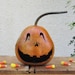 Halloween Gourd Jack O Lantern Natural Fall Pumpkin Decoration