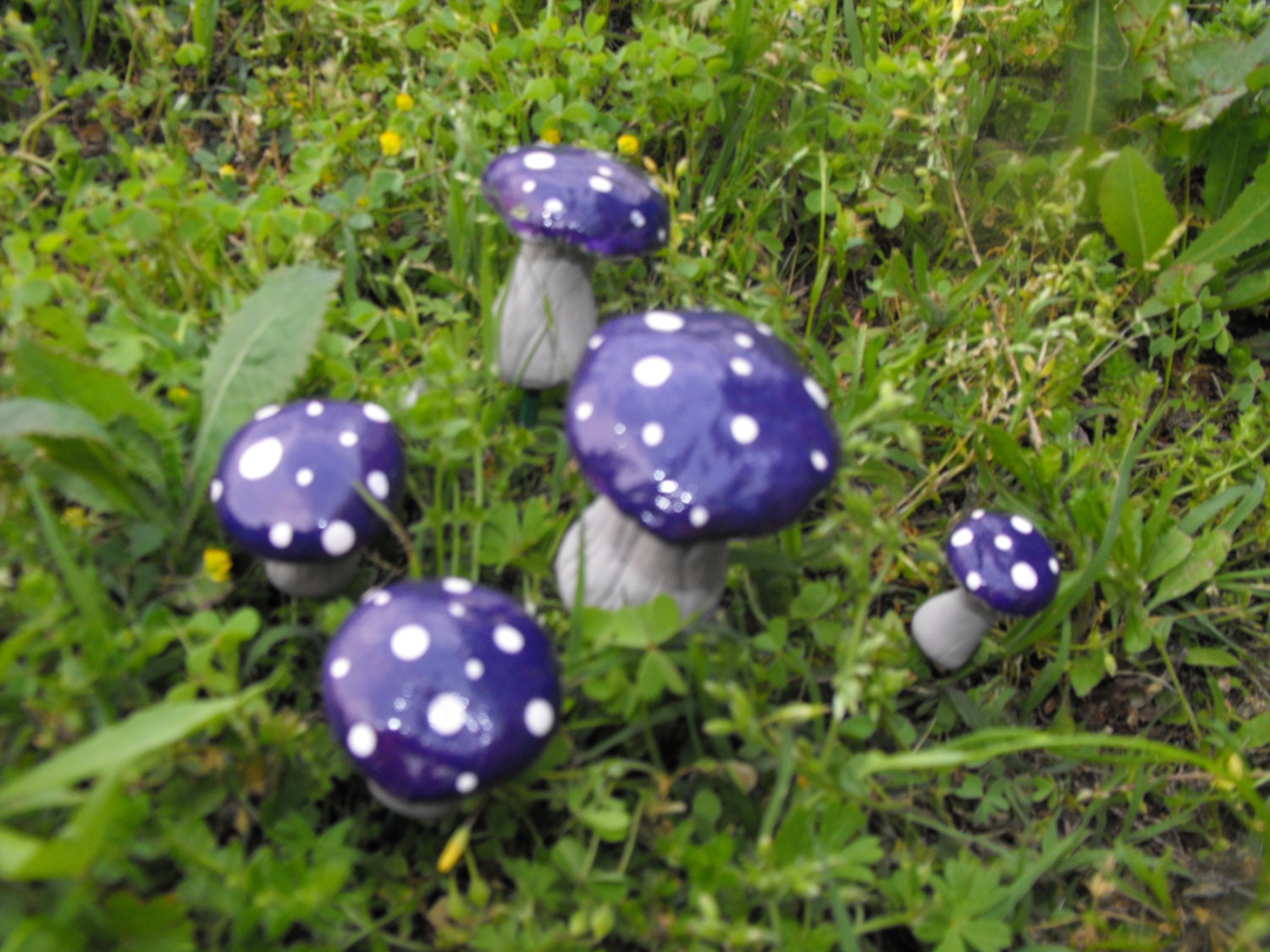 5 piece set big chunky group of mushrooms terrarium woodland wedding fairy garden planter picks - ozarkmountainmagic 5 piece set big chunky group of mushrooms terrarium woodland wedding fairy garden planter picks - ozarkmountainmagic