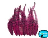 Vday Sale, Feathers, 1 Dozen - SHORT MAGENTA Grizzly Rooster Hair Extension Feathers : 556