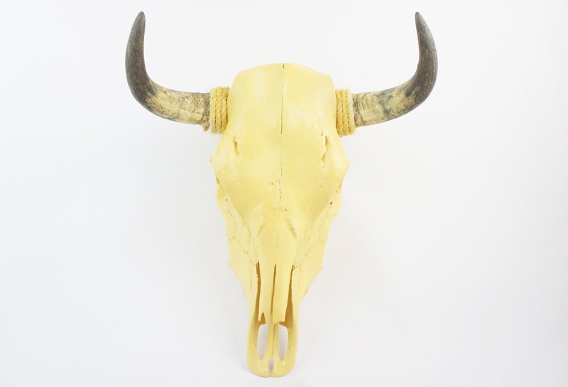 yellow cow skull SALE PRICE