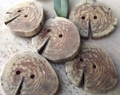 5 Spalted Dogwood Wooden Tree Branch Buttons - Wood Buttons - 1 7/8 x 1 5/8 inches, 2 Holes, For hand knits, journals, and pillows