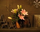 Custom listing for Danielle