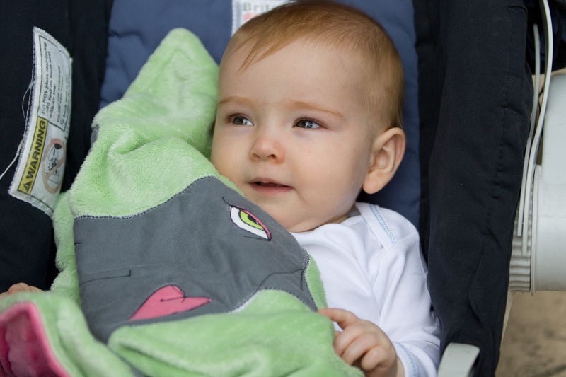 Gray Bird soft green and pink minky dot Lovie best friend playmate new baby security blanket carseat cover baby toddler