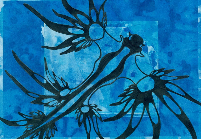 Blue Sea Slug - Solar Drawing 2