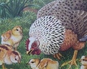 Vintage Ladybird Book Illustrations Animals